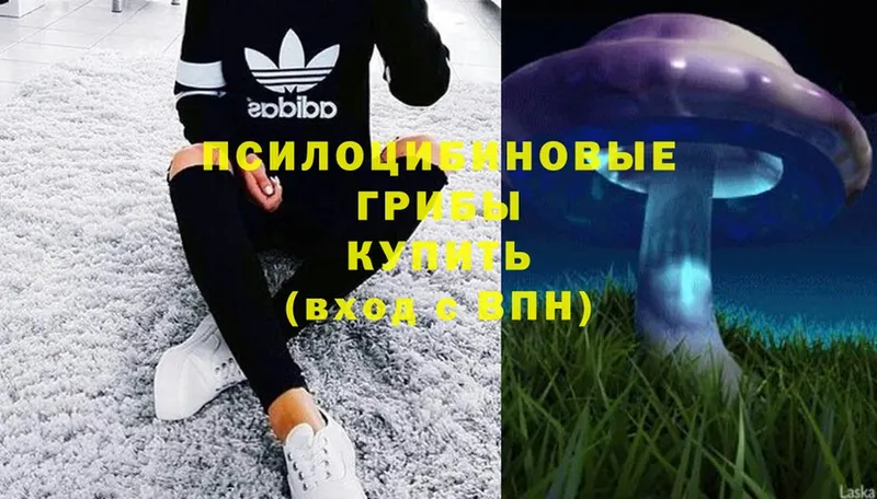 Псилоцибиновые грибы Magic Shrooms  закладка  Аргун 